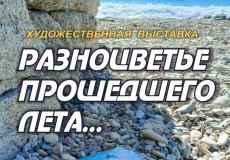 Пленэр-2025:  Разноцветье прошедшего лета...